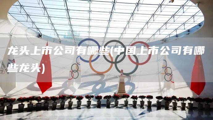 龍頭上市公司有哪些(中國(guó)上市公司有哪些龍頭)(圖1)